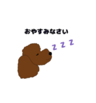トイプードルの僕（個別スタンプ：40）