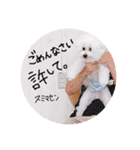 我が家のビションフリーゼ（個別スタンプ：11）