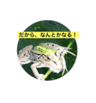なんとかなる、なんとかする（個別スタンプ：1）
