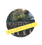 なんとかなる、なんとかする（個別スタンプ：3）