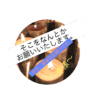なんとかなる、なんとかする（個別スタンプ：4）