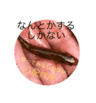 なんとかなる、なんとかする（個別スタンプ：8）
