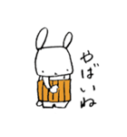 腹巻きうさぎ（個別スタンプ：20）