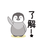 ペンギン「ぺぺぺ」の基本スタンプ（個別スタンプ：16）