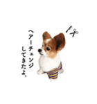 ソラと僕（個別スタンプ：1）