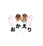 ソラと僕（個別スタンプ：2）