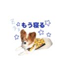 ソラと僕（個別スタンプ：4）