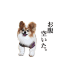 ソラと僕（個別スタンプ：5）
