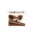 ソラと僕（個別スタンプ：7）