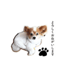 ソラと僕（個別スタンプ：8）