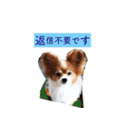 ソラと僕（個別スタンプ：11）