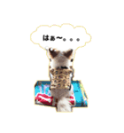 ソラと僕（個別スタンプ：12）