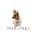 ソラと僕（個別スタンプ：16）