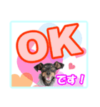 ミニチュアピンシャーの日常会話 Part2（個別スタンプ：2）