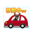 ミニチュアピンシャーの日常会話 Part2（個別スタンプ：12）