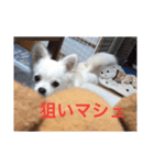 ましゅたんぐ3（個別スタンプ：2）