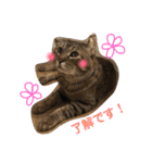 ねことうさぎのスタンプ☆（個別スタンプ：6）