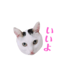めるそら（個別スタンプ：1）
