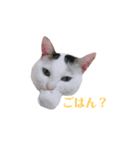 めるそら（個別スタンプ：3）