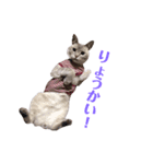 めるそら（個別スタンプ：5）
