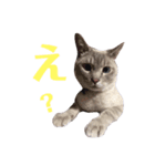 めるそら（個別スタンプ：6）