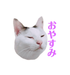 めるそら（個別スタンプ：7）