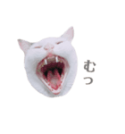めるそら（個別スタンプ：8）
