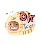 たいぴろSTAMP（個別スタンプ：6）
