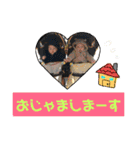 たいぴろSTAMP（個別スタンプ：28）