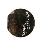 ちろとまろの日常（個別スタンプ：5）