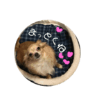 ちろとまろの日常（個別スタンプ：7）