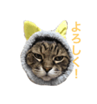 我が家のハッピースタンプ（個別スタンプ：4）