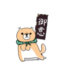 柴犬 栗三郎（個別スタンプ：3）