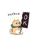 柴犬 栗三郎（個別スタンプ：4）