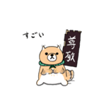 柴犬 栗三郎（個別スタンプ：8）