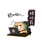 柴犬 栗三郎（個別スタンプ：14）