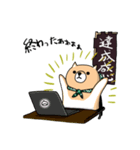 柴犬 栗三郎（個別スタンプ：16）