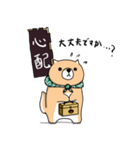 柴犬 栗三郎（個別スタンプ：20）
