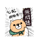 柴犬 栗三郎（個別スタンプ：21）