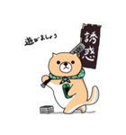 柴犬 栗三郎（個別スタンプ：24）