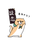 柴犬 栗三郎（個別スタンプ：28）