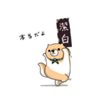 柴犬 栗三郎（個別スタンプ：29）