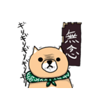 柴犬 栗三郎（個別スタンプ：30）