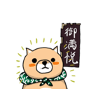 柴犬 栗三郎（個別スタンプ：31）