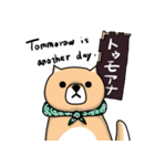 柴犬 栗三郎（個別スタンプ：40）
