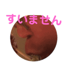 滝澤 努（個別スタンプ：4）