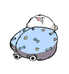 Bachoochi ザ ポメラニアン 2（個別スタンプ：9）