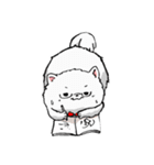 Bachoochi ザ ポメラニアン 2（個別スタンプ：13）