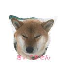こはっちゃーん（個別スタンプ：14）