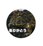 ベルツノガエルのウメさん（個別スタンプ：10）